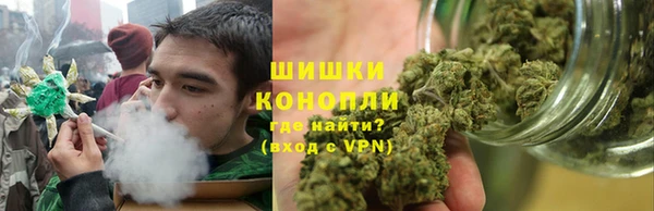 прущий лед Алзамай