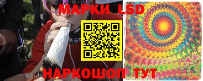 молекула духа Будённовск