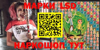 молекула духа Будённовск