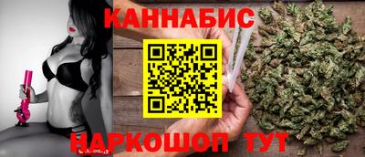молекула духа Будённовск