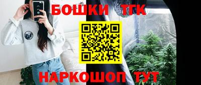 молекула духа Будённовск