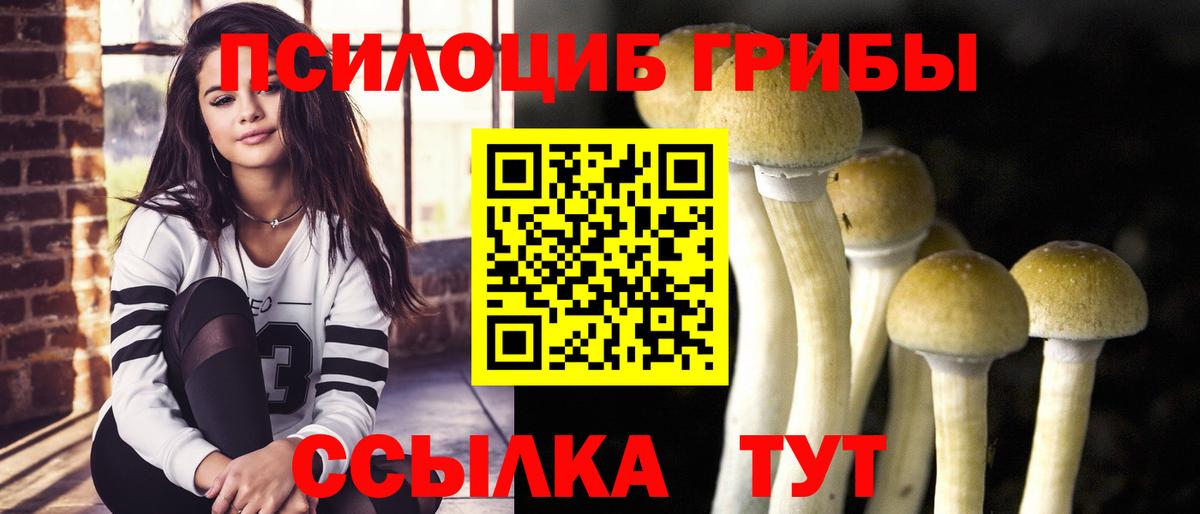 Кириши  Псилоцибиновые грибы Psilocybe  Псилоцибиновые грибы Magic Shrooms  Вход с VPN 